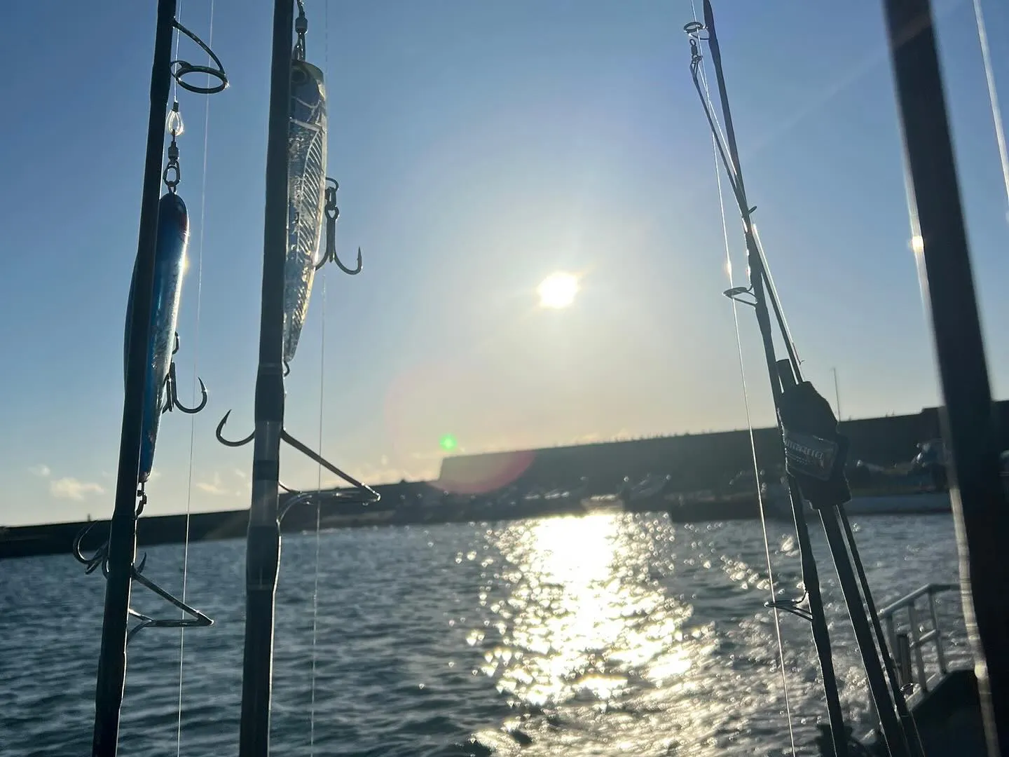 おはようございます☀