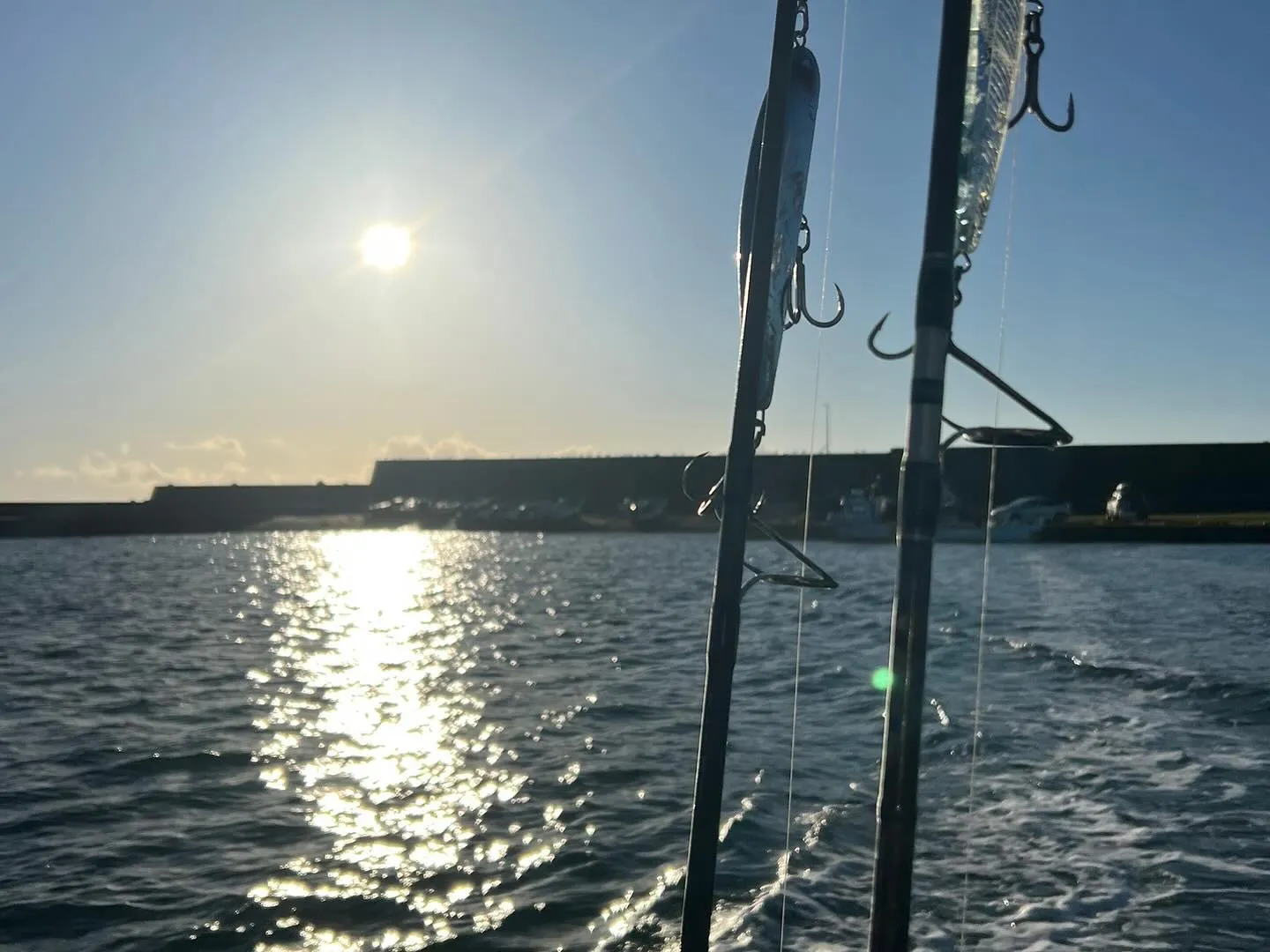 おはようございます☀