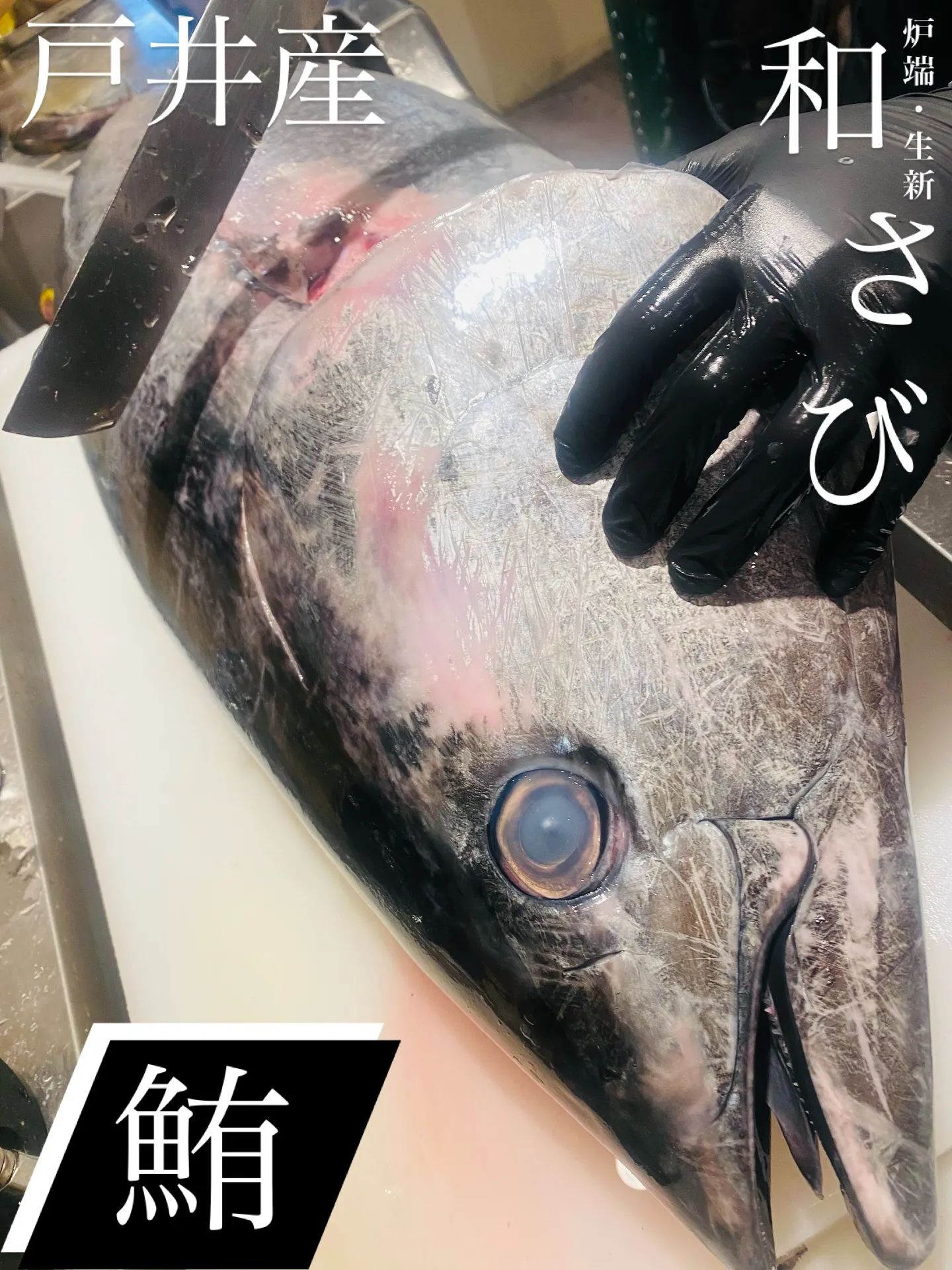 急遽本マグロ祭り開催🏮今週末は是非和さびの本マグロを思う存分...